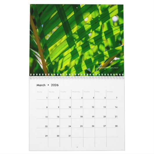 Kaua"i, Afbeeldingen van het Paradijs, Schilderach Kalender (Mar 2026)