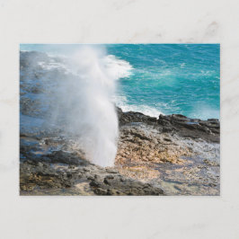 Kauai Aqua Oceaan Spuitende Hoorn Poipu Briefkaart