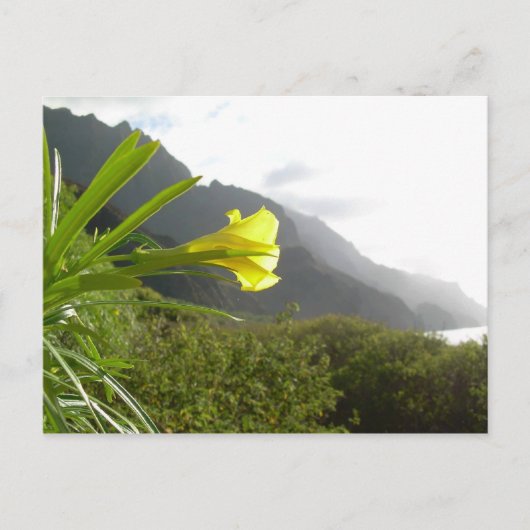 Kauai briefkaart (Voorkant)
