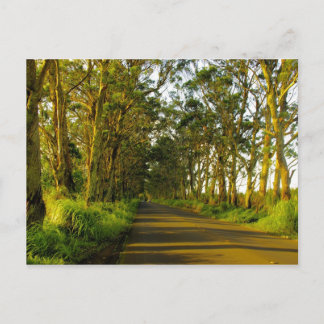 Kauai - De weg naar Poipu Briefkaart
