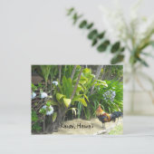 Kauai, Hawaï Briefkaart (Staand voorkant)