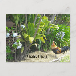 Kauai, Hawaï Briefkaart