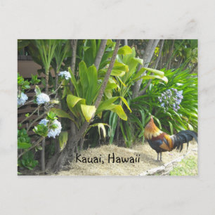 Kauai, Hawaï Briefkaart