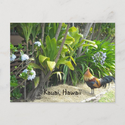 Kauai, Hawaï Briefkaart (Voorkant)