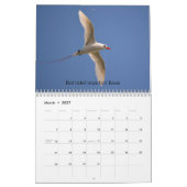 Kauai Hawaï Kalender (Mar 2027)