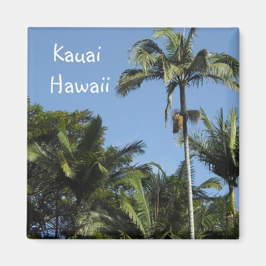 Kauai Hawaï Magneet (Voorkant)