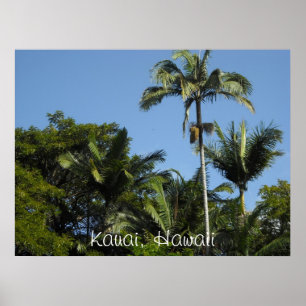Kauai, Hawaï Poster