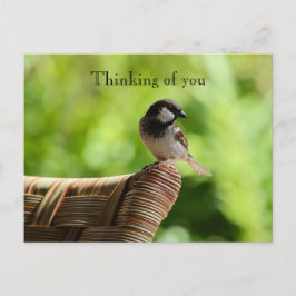 Kauai Hawaii Bird On Chair Denken aan jou Briefkaart