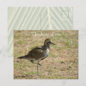 Kauai Hawaii Bird on Grass Denken aan jou Briefkaart (Voorkant / Achterkant)