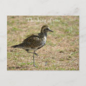 Kauai Hawaii Bird on Grass Denken aan jou Briefkaart (Voorkant)