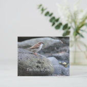 Kauai Hawaii Bird on Rocks Denken aan jou Briefkaart (Staand voorkant)