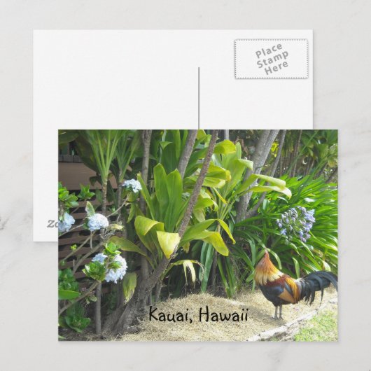 Kauai, Hawaii Briefkaart (Voorkant / Achterkant)