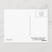 Kauai, Hawaii Briefkaart (Achterkant)