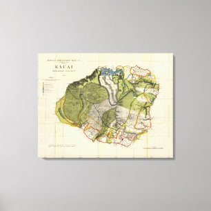 Kauai, Hawaii Canvas Afdruk