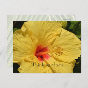 Kauai Hawaii gele hibiscus bloem Briefkaart