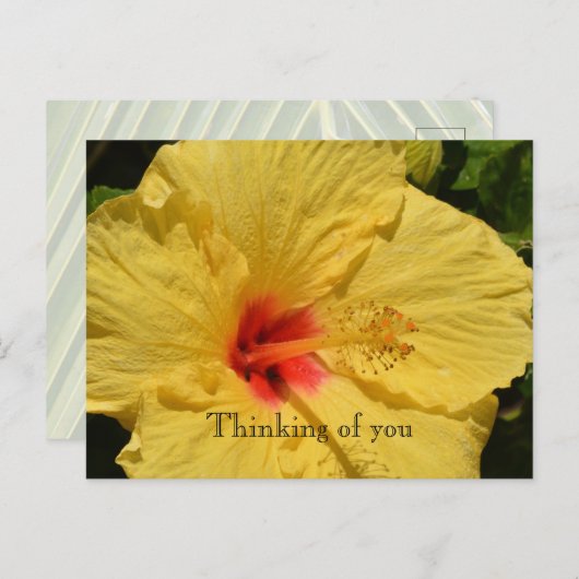 Kauai Hawaii gele hibiscus bloem Briefkaart (Voorkant / Achterkant)