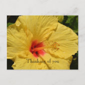 Kauai Hawaii gele hibiscus bloem Briefkaart (Voorkant)
