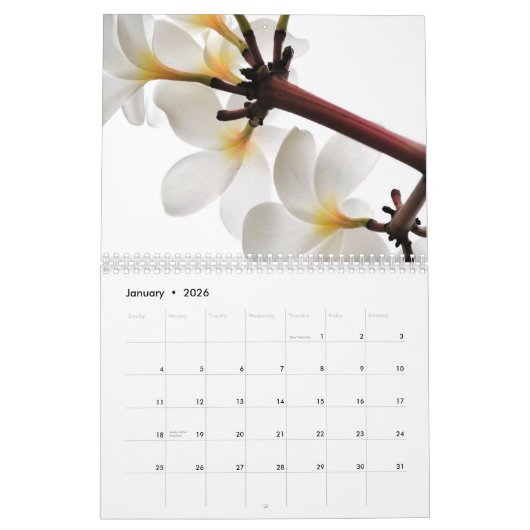 Kauai Hawaii Kalender (Jan 2026)