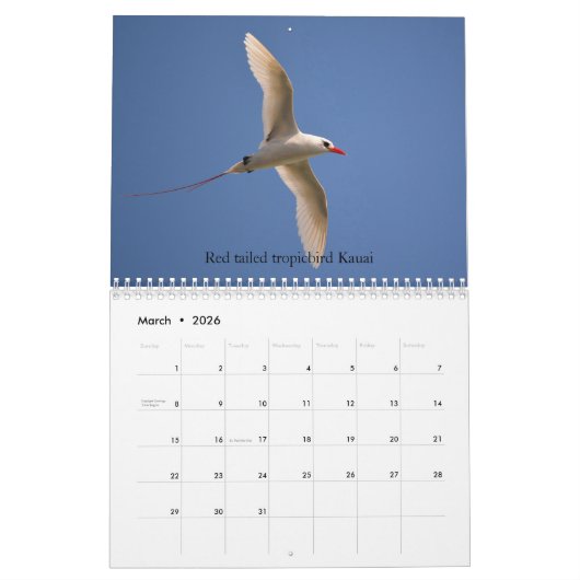 Kauai Hawaii Kalender (Mar 2026)