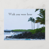 Kauai Hawaii Koloa Ocean Palm Trees Briefkaart (Voorkant)