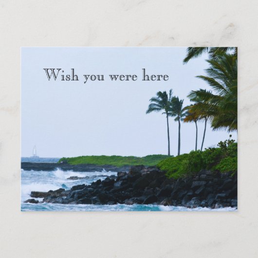 Kauai Hawaii Koloa Ocean Palm Trees Briefkaart (Voorkant)