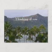 Kauai Hawaii Lihue Palm Trees Kalapaki Beach Briefkaart (Voorkant)