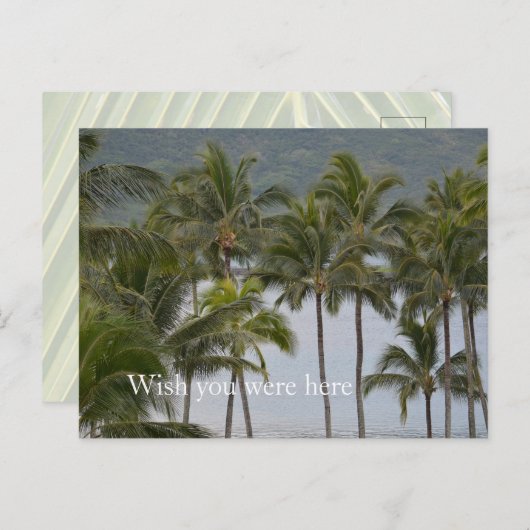 Kauai Hawaii Lihue Palm Trees Ocean Briefkaart (Voorkant / Achterkant)