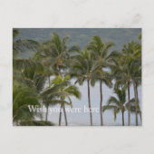 Kauai Hawaii Lihue Palm Trees Ocean Briefkaart (Voorkant)