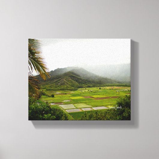 Kauai, Hawaii Lush Fields Landscape Canvas Afdruk (Voorkant)