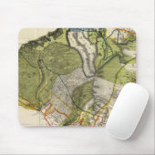 Kauai, Hawaii Muismat (Met muis)