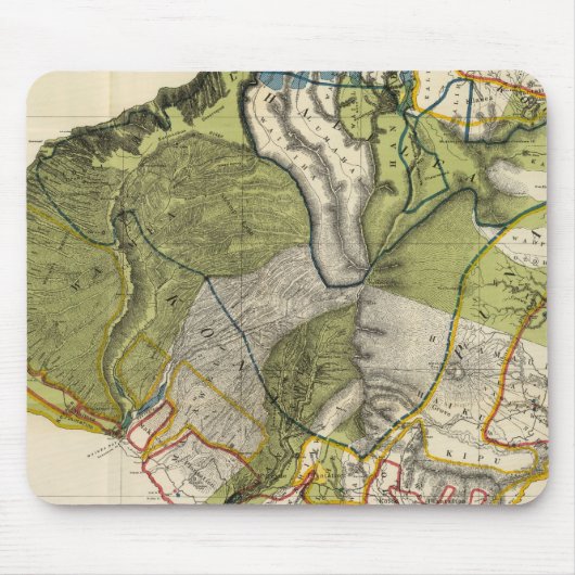 Kauai, Hawaii Muismat (Voorkant)