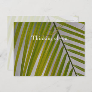 Kauai Hawaii Palm Tree Briefkaart