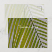 Kauai Hawaii Palm Tree Briefkaart (Voorkant / Achterkant)