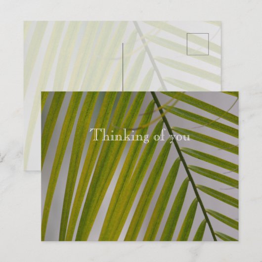 Kauai Hawaii Palm Tree Briefkaart (Voorkant / Achterkant)