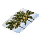 Kauai Hawaii Palm Trees Gouden Droom Magneet (Linkerzijde)
