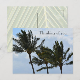 Kauai Hawaii Palmbomen Briefkaart