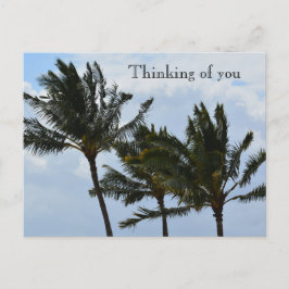 Kauai Hawaii Palmbomen Briefkaart