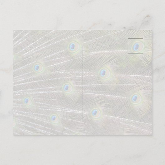 Kauai Hawaii Peacock Briefkaart (Achterkant)