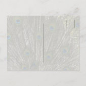 Kauai Hawaii Peacock Feathers Briefkaart (Achterkant)