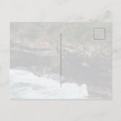 Kauai Hawaii Peacock Feathers Briefkaart (Achterkant)