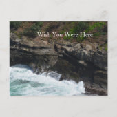 Kauai Hawaii Peacock Feathers Briefkaart (Voorkant)