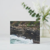 Kauai Hawaii Peacock Feathers Briefkaart (Staand voorkant)