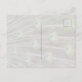 Kauai Hawaii Peacock Feathers Briefkaart (Achterkant)