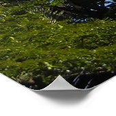 Kauai, Hawaii Poster (Hoek)