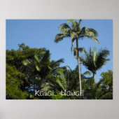 Kauai, Hawaii Poster (Voorkant)