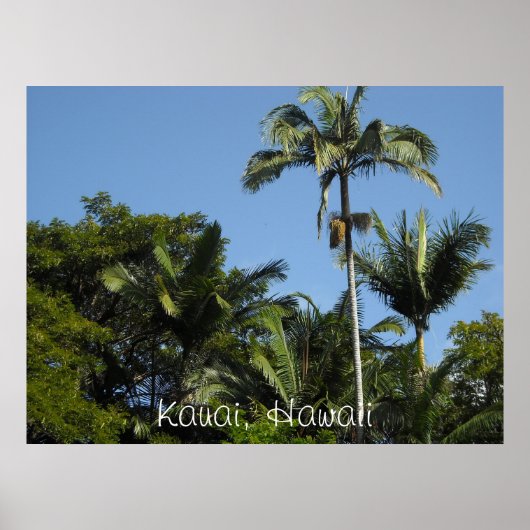 Kauai, Hawaii Poster (Voorkant)