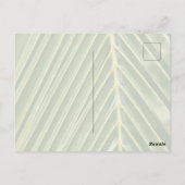 Kauai Hawaii Roze Anthurium Bloem Briefkaart (Achterkant)