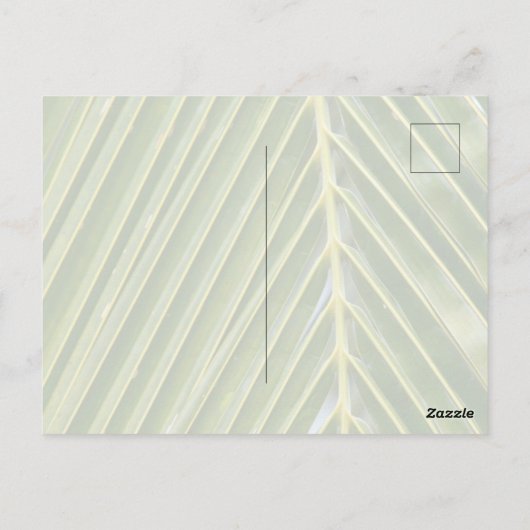 Kauai Hawaii Roze Anthurium Bloem Briefkaart (Achterkant)