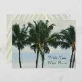 Kauai Hawaii Tropical Palm Trees Briefkaart (Voorkant / Achterkant)