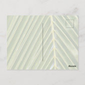 Kauai Hawaii Tropical Palm Trees Briefkaart (Achterkant)